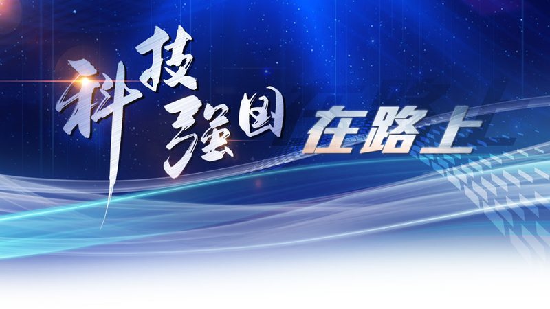企业数字化管理平台：如何评估报价与价值**